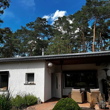 Kiefernblick Plotzky Exterior foto