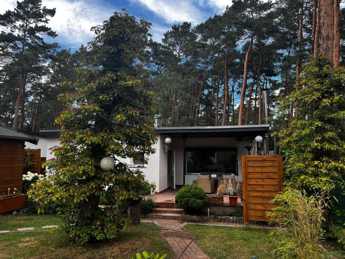 Kiefernblick Plotzky Exterior foto