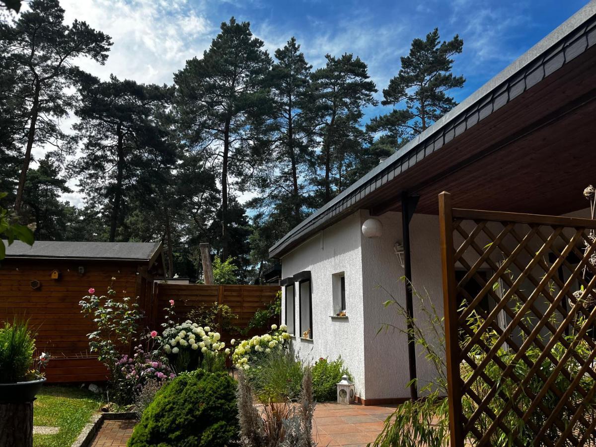 Kiefernblick Plotzky Exterior foto