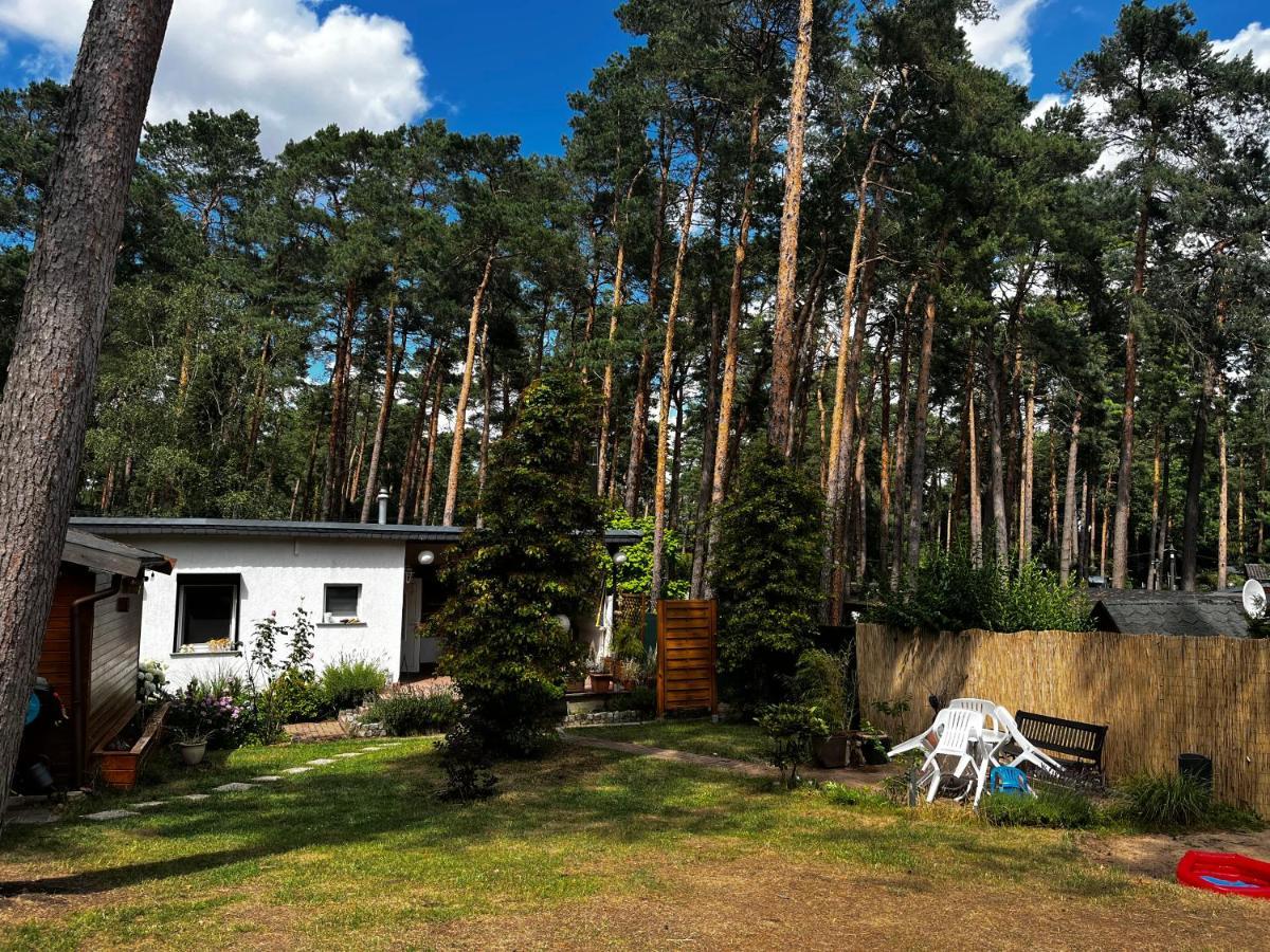 Kiefernblick Plotzky Exterior foto